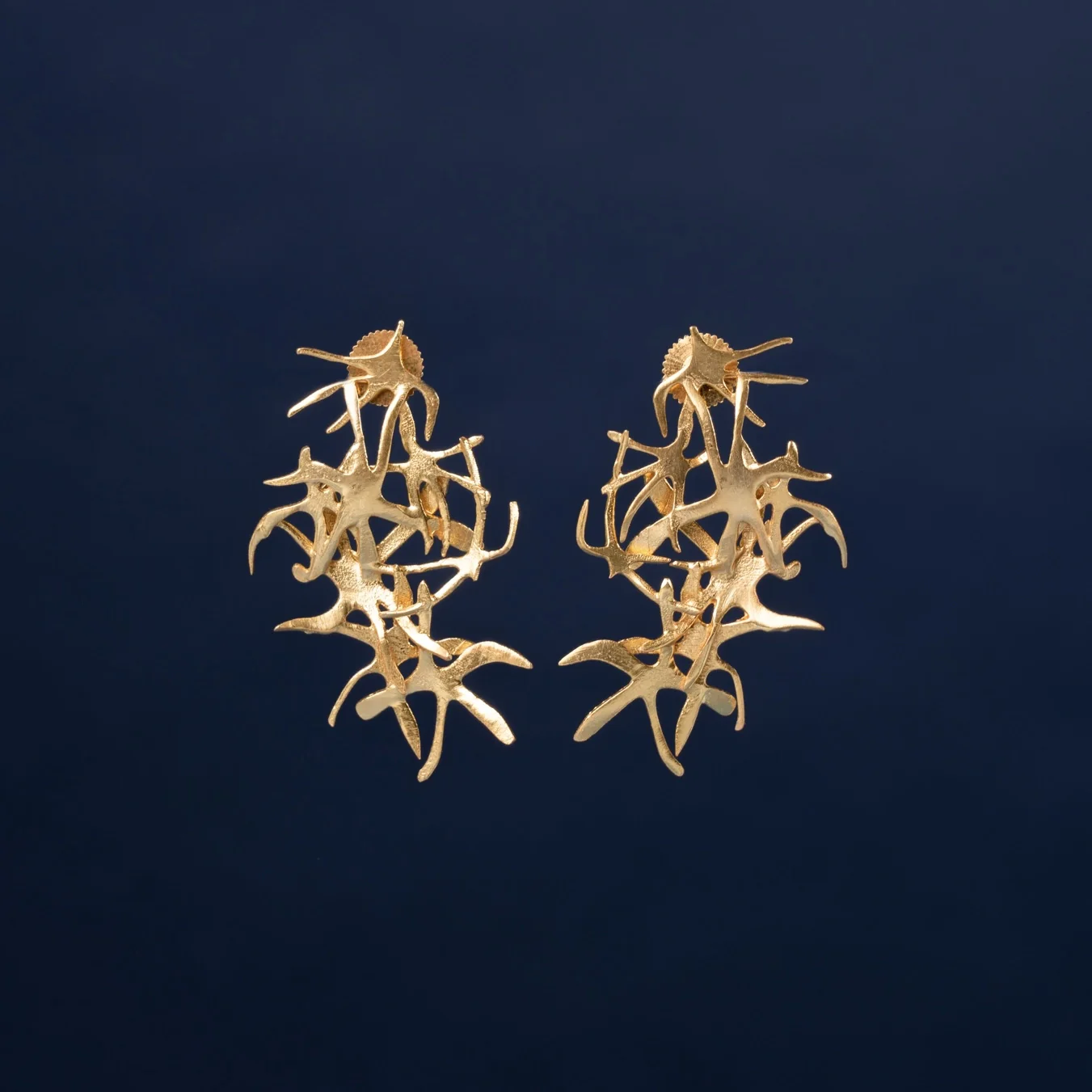 Imagen del producto 10